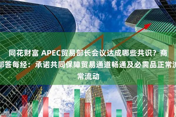同花财富 APEC贸易部长会议达成哪些共识？商务部答每经：承诺共同保障贸易通道畅通及必需品正常流动