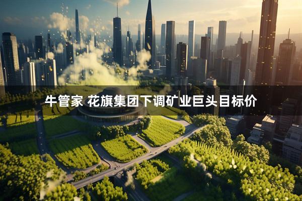 牛管家 花旗集团下调矿业巨头目标价