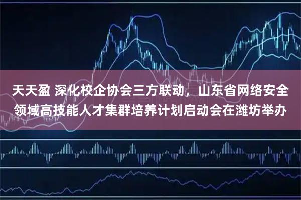 天天盈 深化校企协会三方联动,山东省网络安全领域高技能人才集群培养计划启动会在潍坊举办